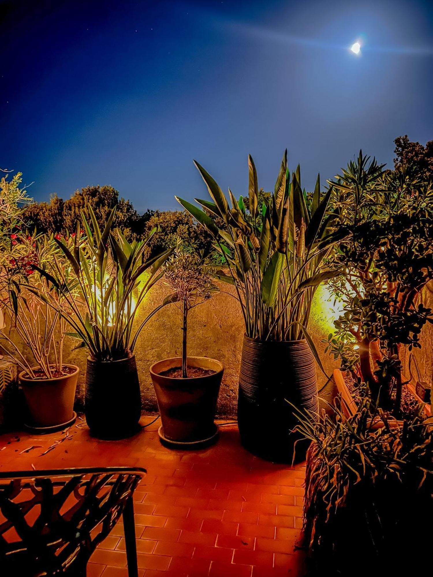 Residence Les Sources Brando Bagian luar foto