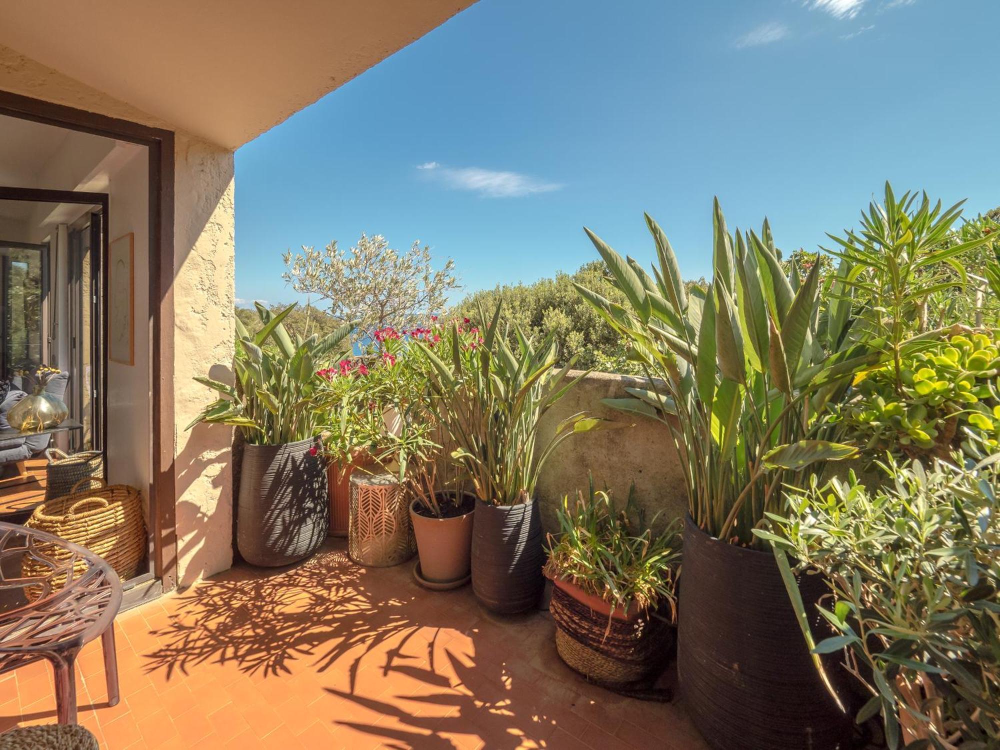 Residence Les Sources Brando Bagian luar foto
